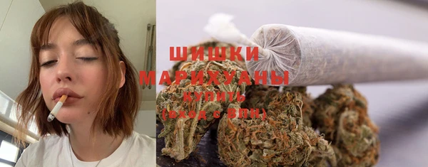 прущие крисы Верея