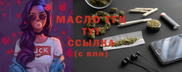 гидра Верхний Тагил