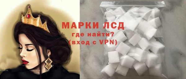 гидра Верхний Тагил