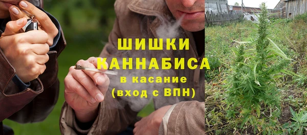 гидра Верхний Тагил