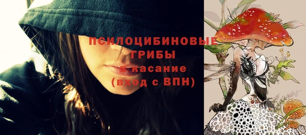 гидра Верхний Тагил