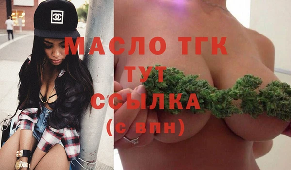 гидра Верхний Тагил