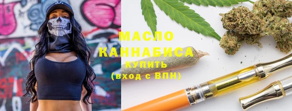 гидра Верхний Тагил