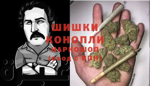 гидра Верхний Тагил