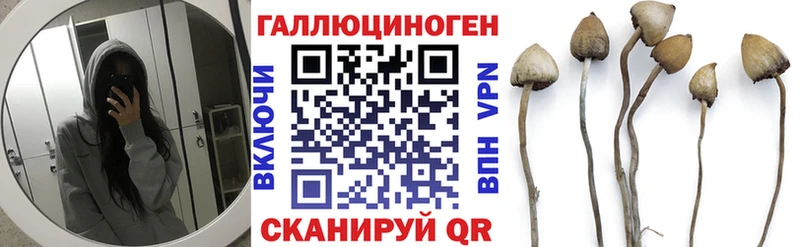 Галлюциногенные грибы Psilocybe  mega зеркало  Камень-на-Оби 